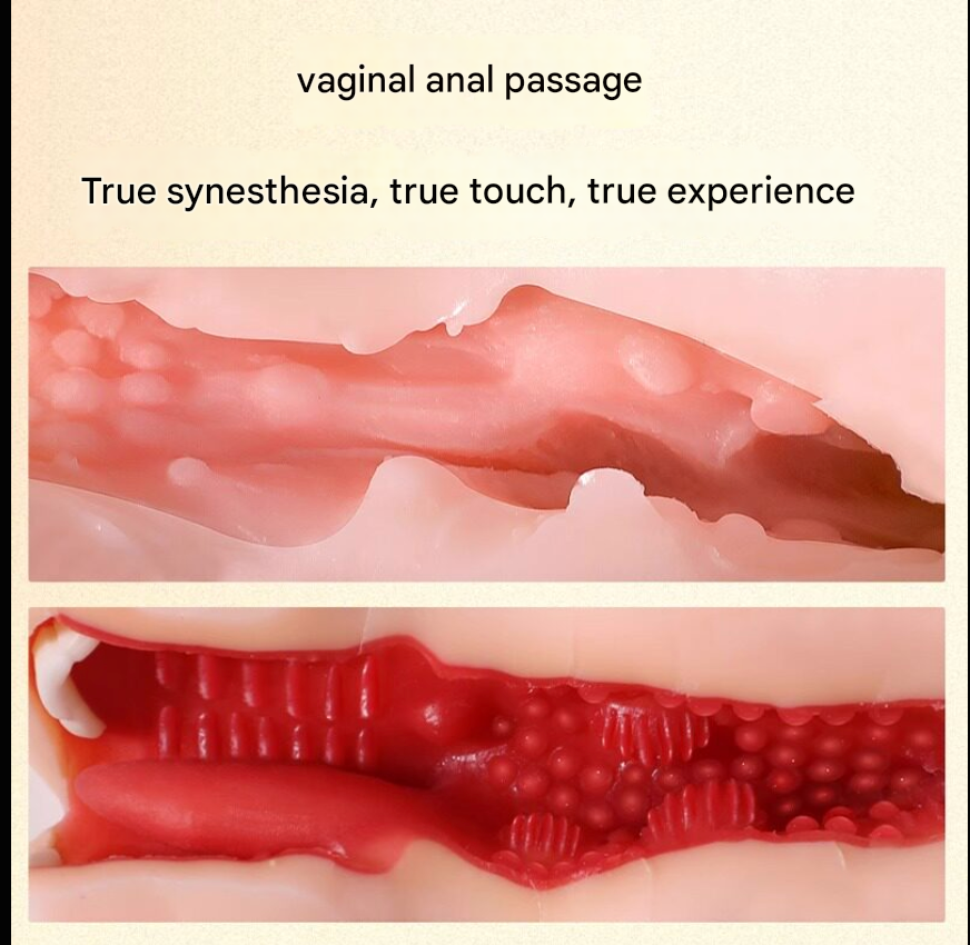 Male Masturbator - Realistic blowjob + anal + vagina